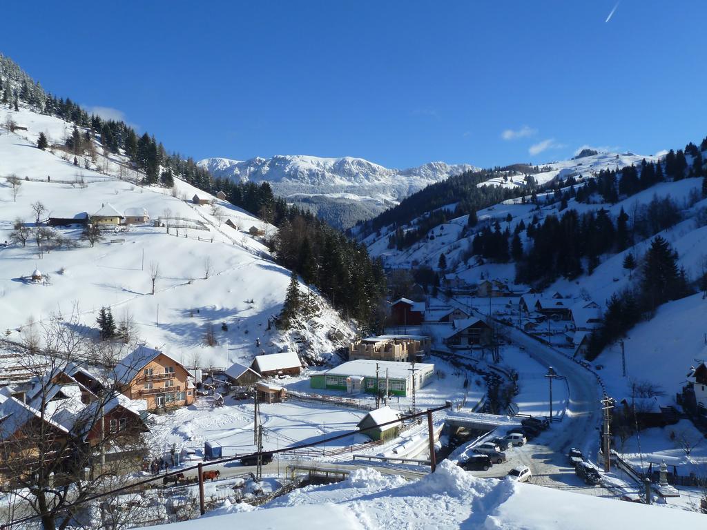 Ranger Chalet Moeciu De Sus Δωμάτιο φωτογραφία