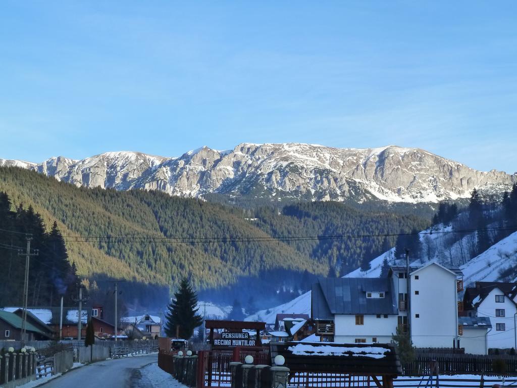 Ranger Chalet Moeciu De Sus Δωμάτιο φωτογραφία