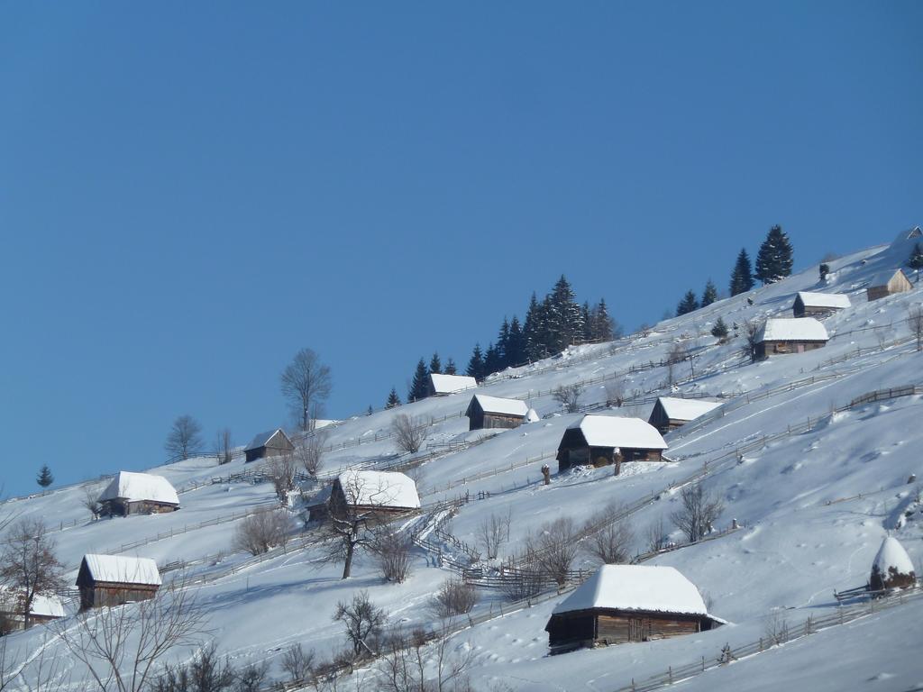 Ranger Chalet Ξενοδοχείο Moeciu De Sus Δωμάτιο φωτογραφία